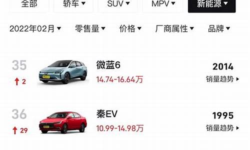 新能源汽车十大品牌销量排名_新能源汽车十大品牌销量排名榜