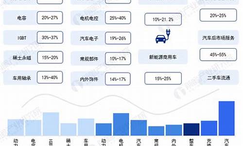 合肥市新能源汽车产业_合肥市新能源汽车产业协会